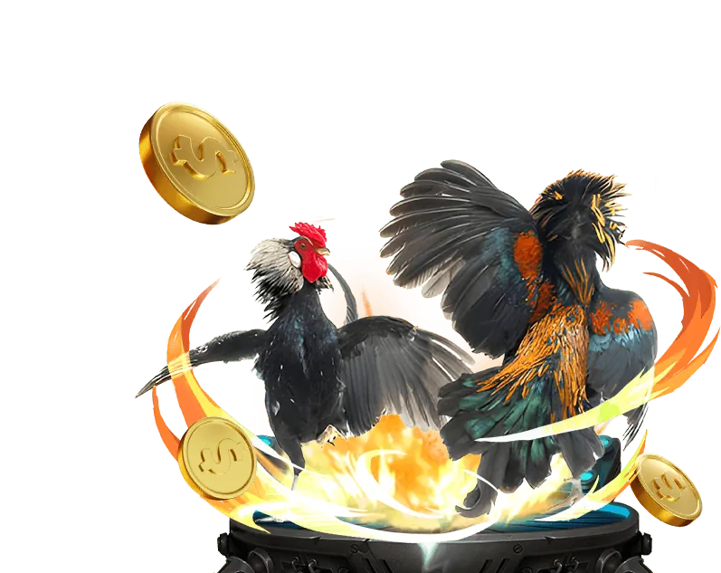 Người chơi đang xem trận đấu đá gà trực tuyến trên wwin999